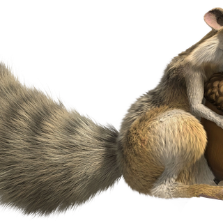 Ice Age Scrat wallpaper