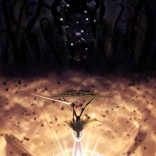 Hollow Knight Radiance wallpaper