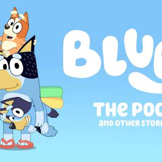 Bluey and Bingo wallpaper