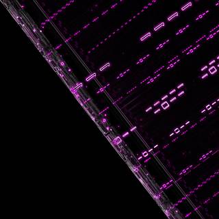 Binary numbers wallpaper