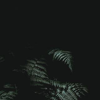 Dark theme iPhone wallpaper