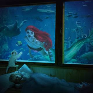 The Little Mermaid desktop wallpaper