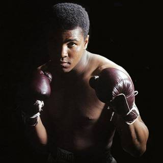 Muhammad Ali phone wallpaper