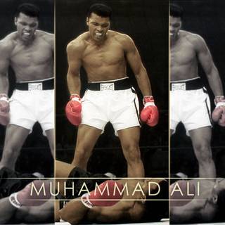 Mohamed Ali desktop wallpaper