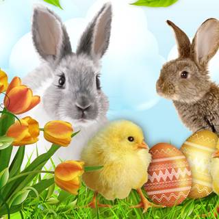 Happy Easter baby animals wallpaper