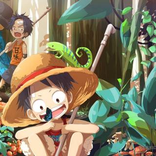 One Piece ASL wallpaper