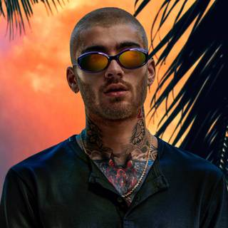 Zayn Malik PC wallpaper