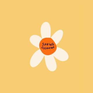 Desktop clean spring wallpaper