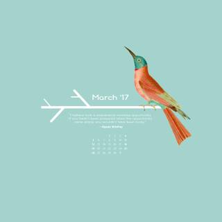 Desktop clean spring wallpaper