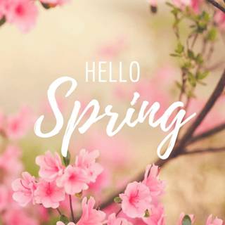 Its spring time wallpaper