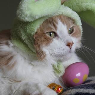 Easter cat and bunny wallpaper