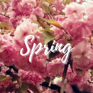 Its spring time wallpaper