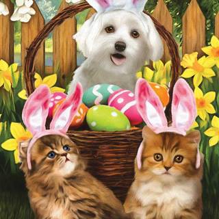 Easter cat and bunny wallpaper