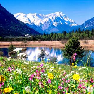 Its spring time wallpaper