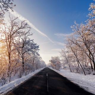 Natural winter road way wallpaper