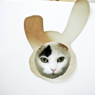 Easter cat and bunny wallpaper