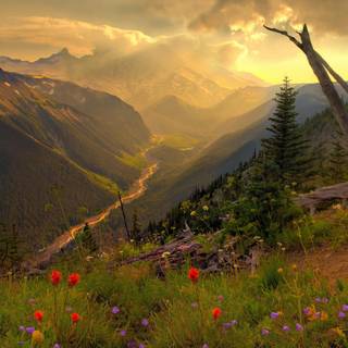 Its spring time wallpaper