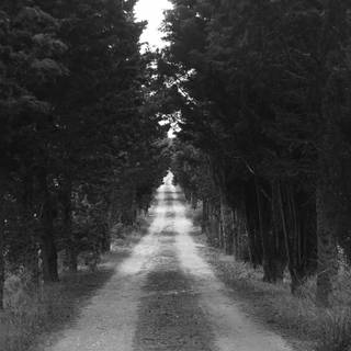 Dark winter road way wallpaper