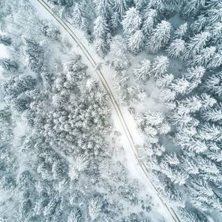 Natural winter road way wallpaper