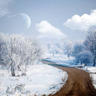 Natural winter road way wallpaper