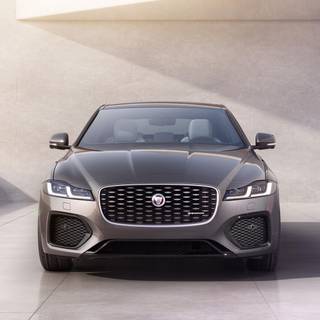 Jaguar 2023 wallpaper