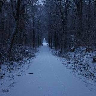 Dark winter road way wallpaper