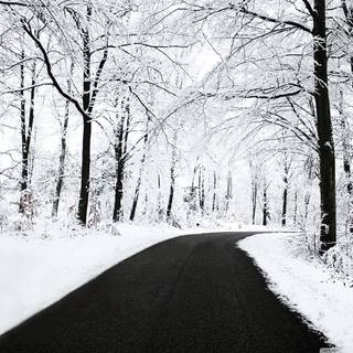 Dark winter road way wallpaper