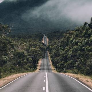 Natural winter road way wallpaper