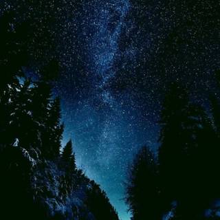 Dark winter road way wallpaper