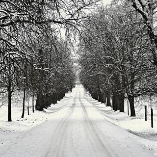 Dark winter road way wallpaper