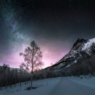 Natural winter road way wallpaper