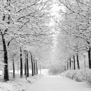 Dark winter road way wallpaper