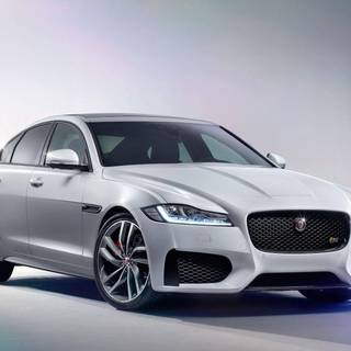 Jaguar 2023 wallpaper