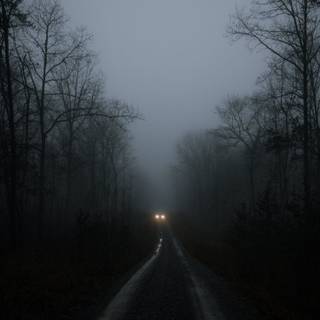 Dark winter road way wallpaper