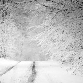 Dark winter road way wallpaper