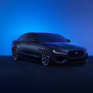Jaguar 2023 wallpaper