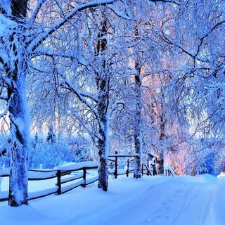 Natural winter road way wallpaper