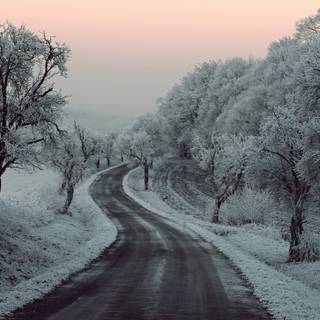 Natural winter road way wallpaper