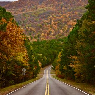 Natural winter road way wallpaper