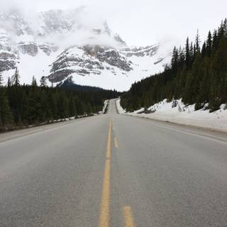 Natural winter road way wallpaper