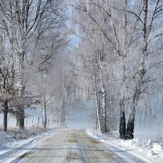 Natural winter road way wallpaper
