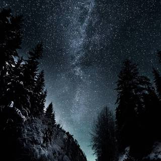 Natural winter road way wallpaper