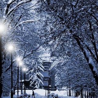 Natural winter road way wallpaper