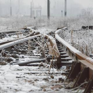 Winter tracking wallpaper