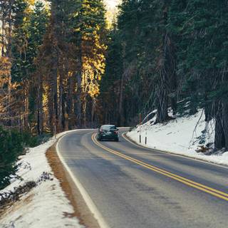 Dark winter road way wallpaper