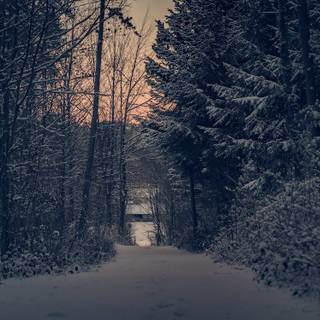 Dark winter road way wallpaper