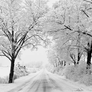 Dark winter road way wallpaper