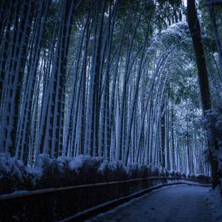 Dark winter road way wallpaper
