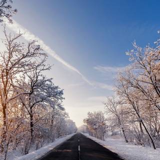 Dark winter road way wallpaper
