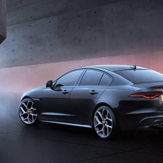 Jaguar 2023 wallpaper